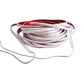 LED Stripes ab IP44 bei FeMa Elektrotechnik GmbH in Burghaun